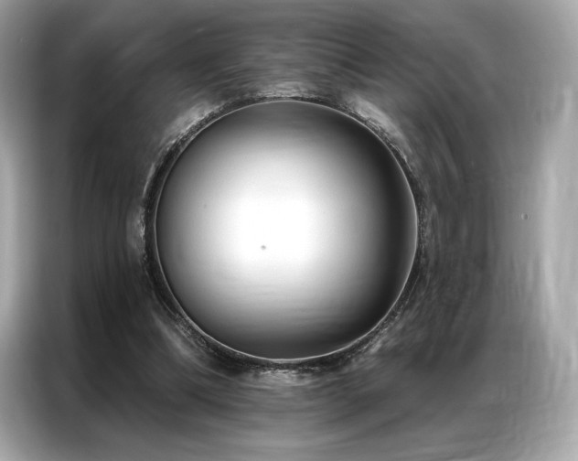 X0000087040298200704181221