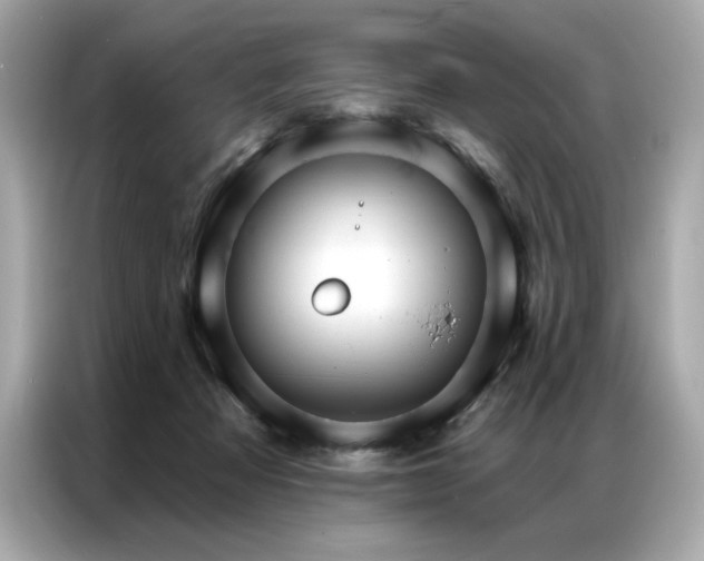 X0000087040313200704181221