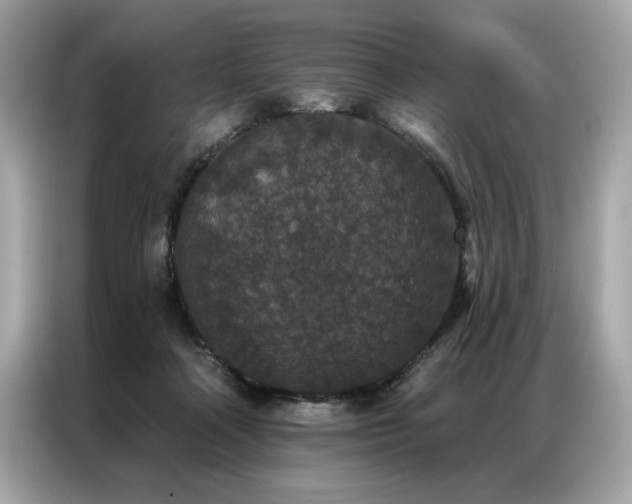 X0000087040314200704181221