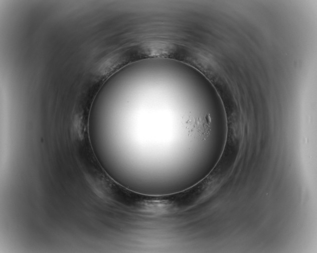 X0000087040316200704181221