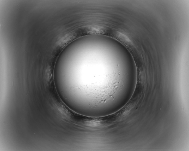 X0000087040318200704181221