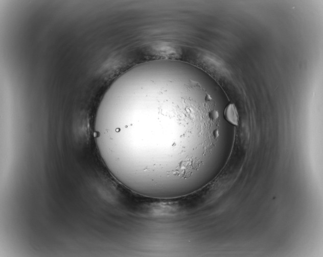 X0000087040320200704181221