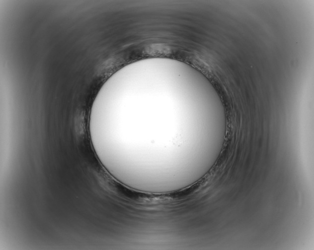 X0000087040323200704181221