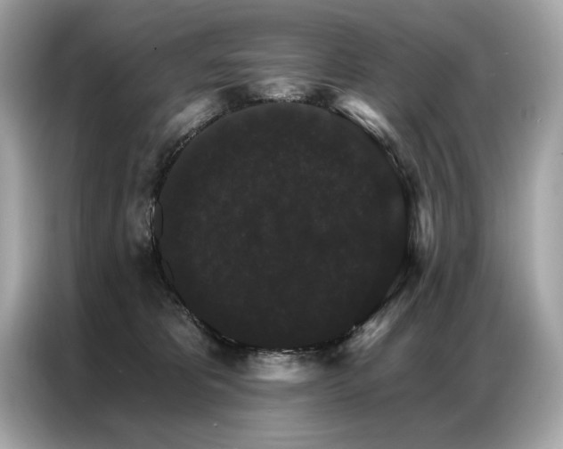 X0000087040325200704181221