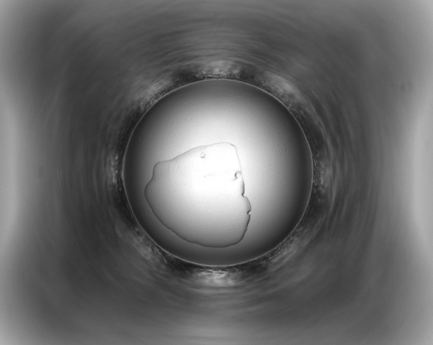 X0000087040326200704181221
