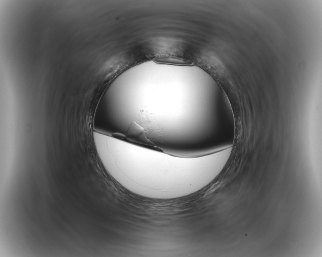 X0000087040329200704181221