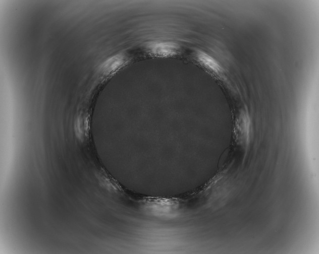 X0000087040330200704181221