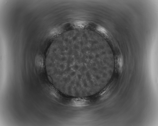 X0000087040331200704181221