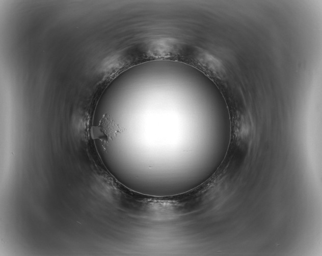 X0000087040332200704181221