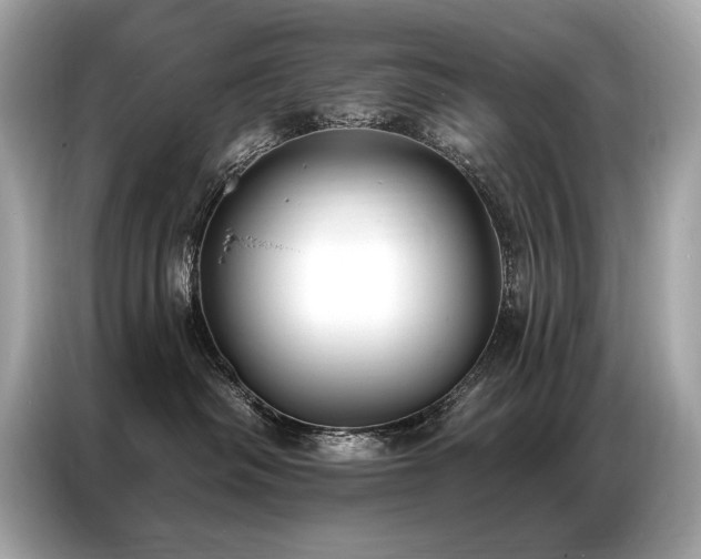 X0000087040334200704181221