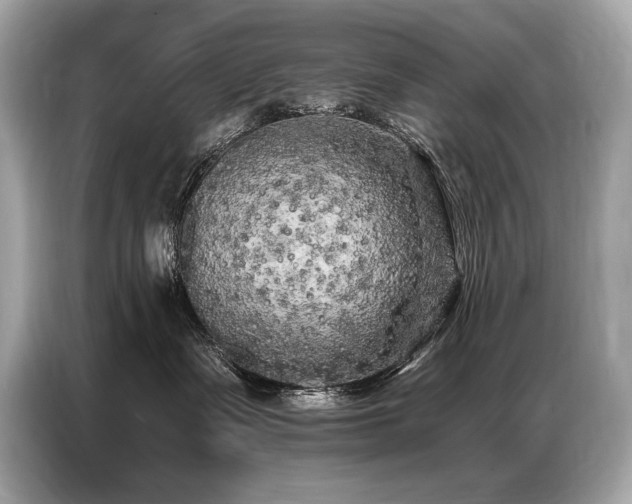 X0000087040335200704181221