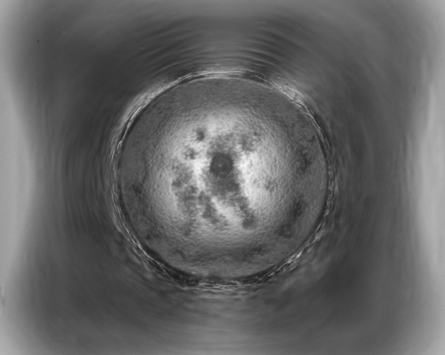 X0000087040337200704181220