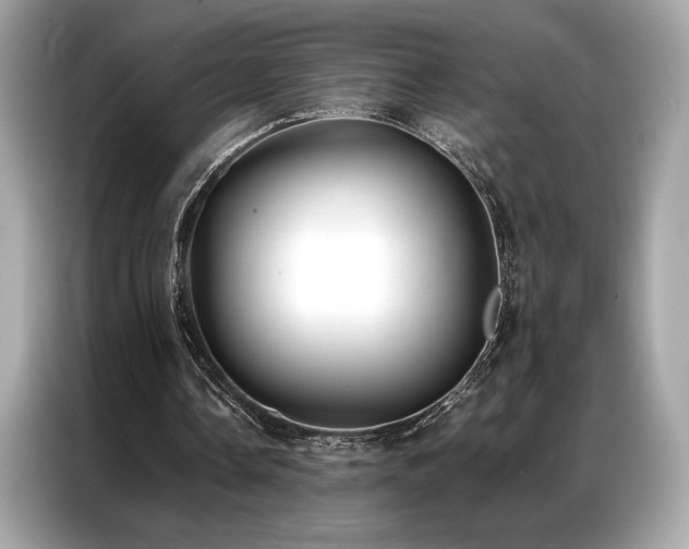 X0000087040338200704181220