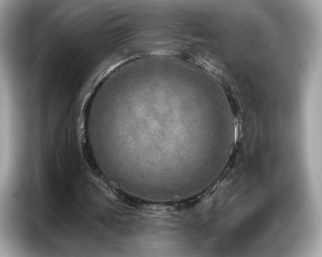 X0000087040339200704181220