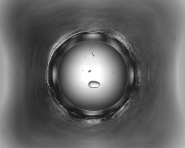 X0000087040340200704181220