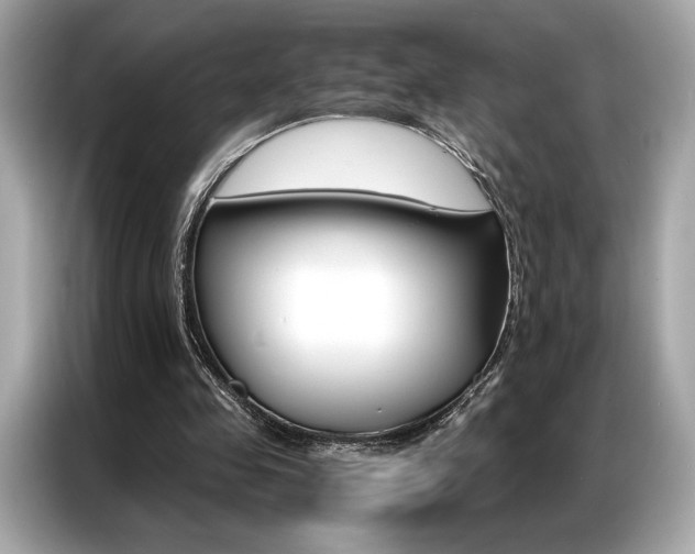 X0000087040341200704181220