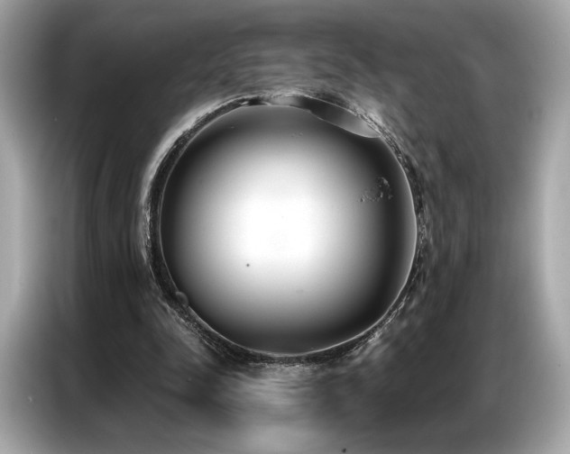 X0000087040342200704181220