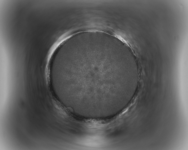 X0000087040343200704181220