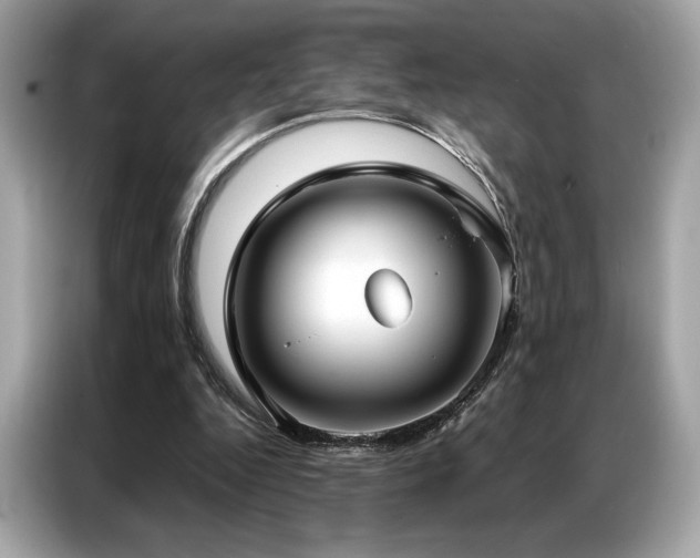 X0000087040344200704181220