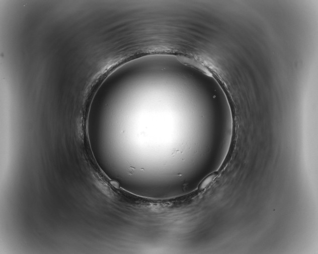 X0000087040345200704181220