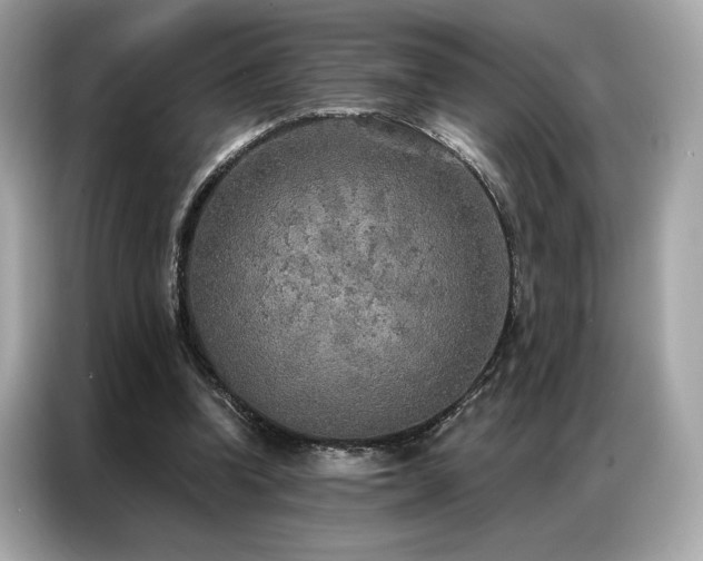 X0000087040346200704181220