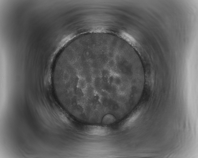 X0000087040347200704181220
