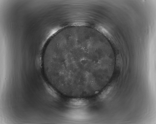 X0000087040351200704181220