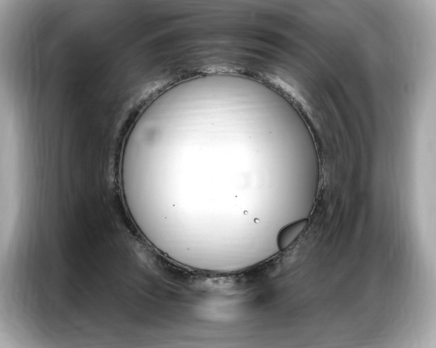 X0000087040353200704181220