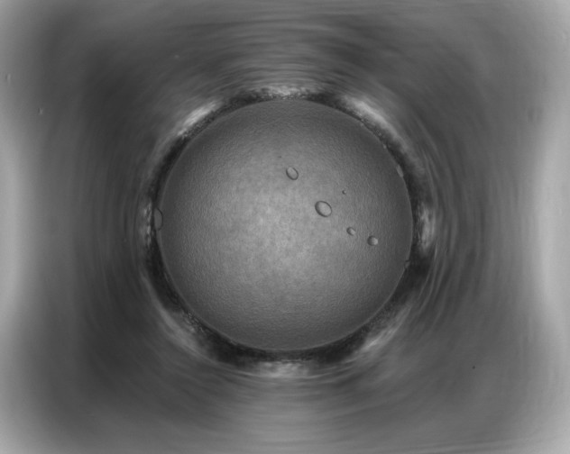 X0000087040356200704181220