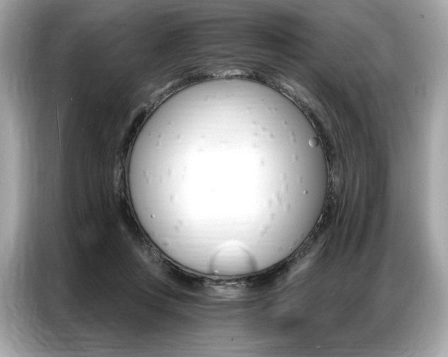 X0000087040359200704181220