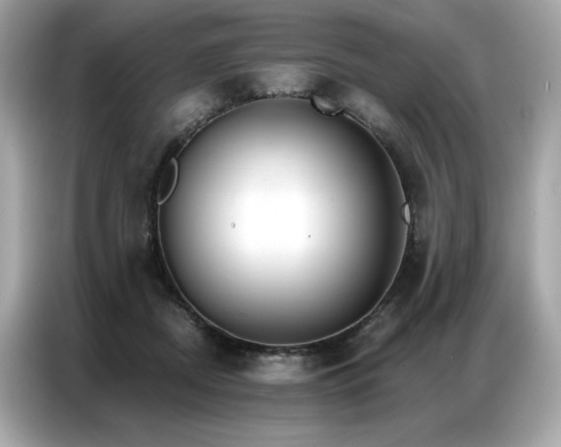 X0000087040362200704181220