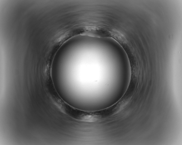X0000087040364200704181220