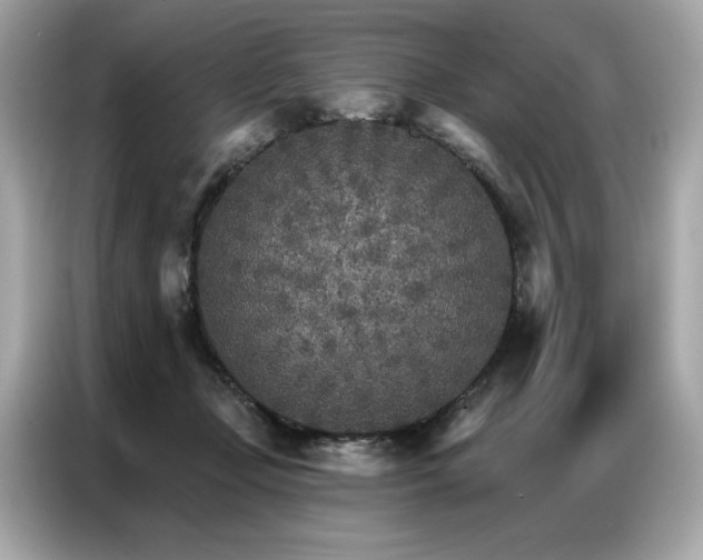 X0000087040365200704181220