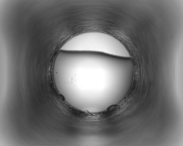 X0000087040369200704181221
