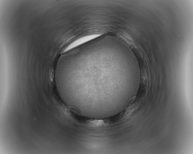 X0000087040374200704181221
