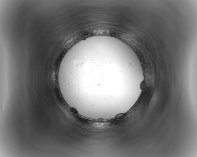 X0000087040375200704181221