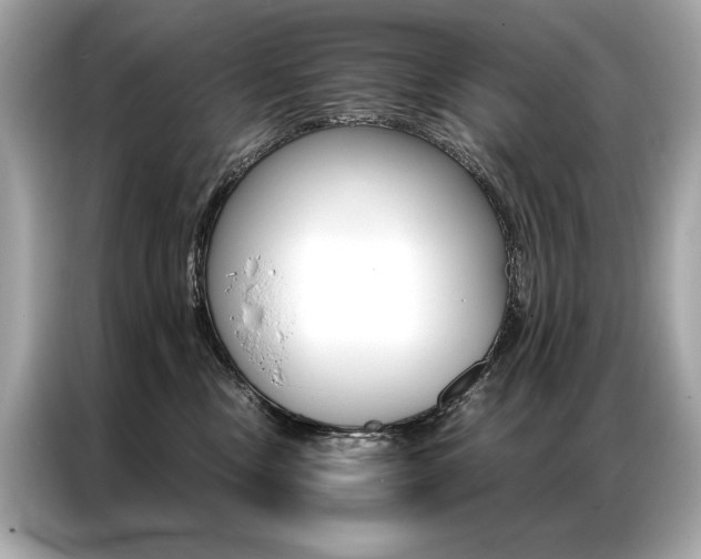 X0000087040378200704181221
