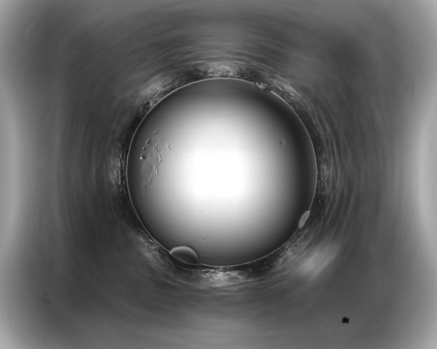 X0000087040379200704181221