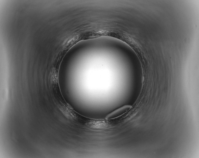 X0000087040384200704181221