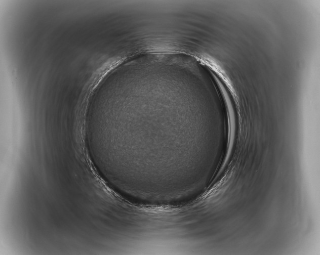 X0000087040385200704181220
