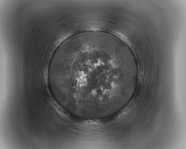 X0000087040386200704181220