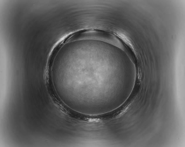 X0000087040388200704181220