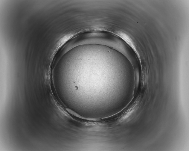 X0000087040389200704181220