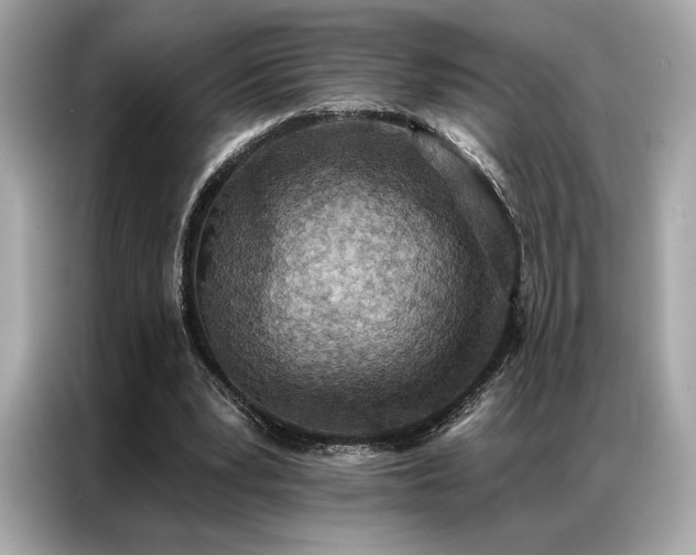 X0000087040391200704181220