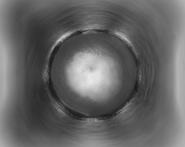 X0000087040392200704181220