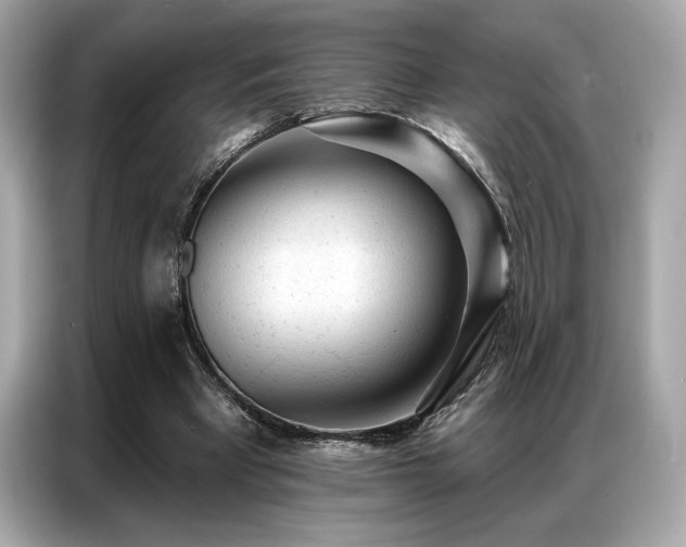 X0000087040393200704181220