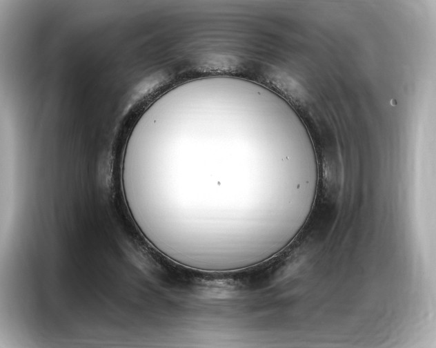 X0000087040396200704181220