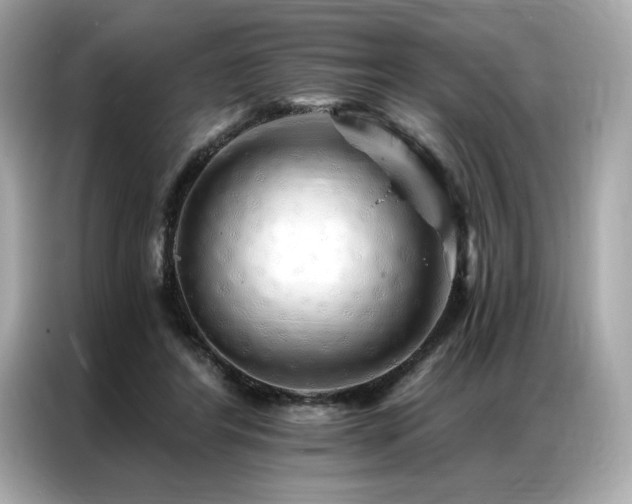 X0000087040404200704181220