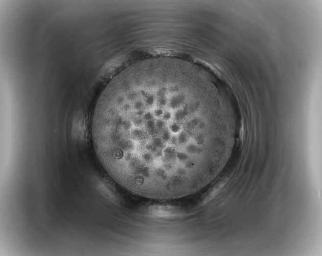X0000087040408200704181220