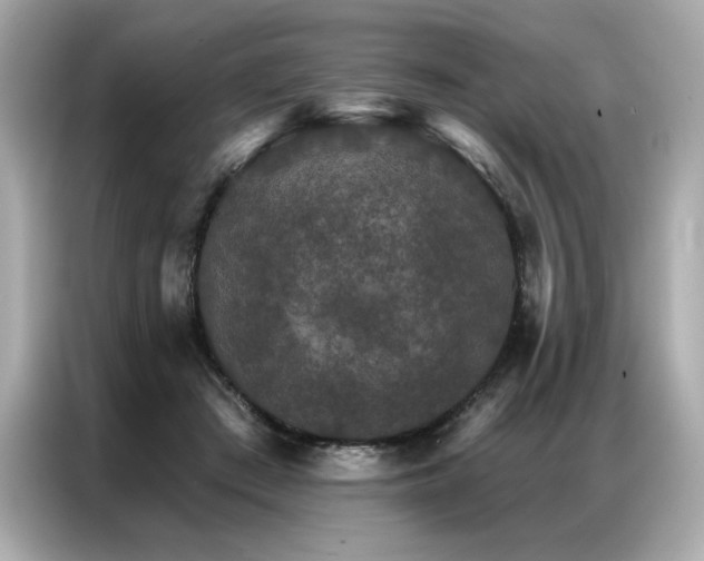 X0000087040409200704181220